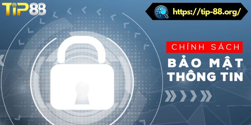 Quy định về thu thập, sử dụng thông tin trong chính sách bảo mật TIP88