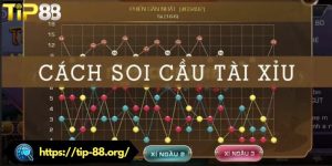 Soi cầu tài xỉu TIP88